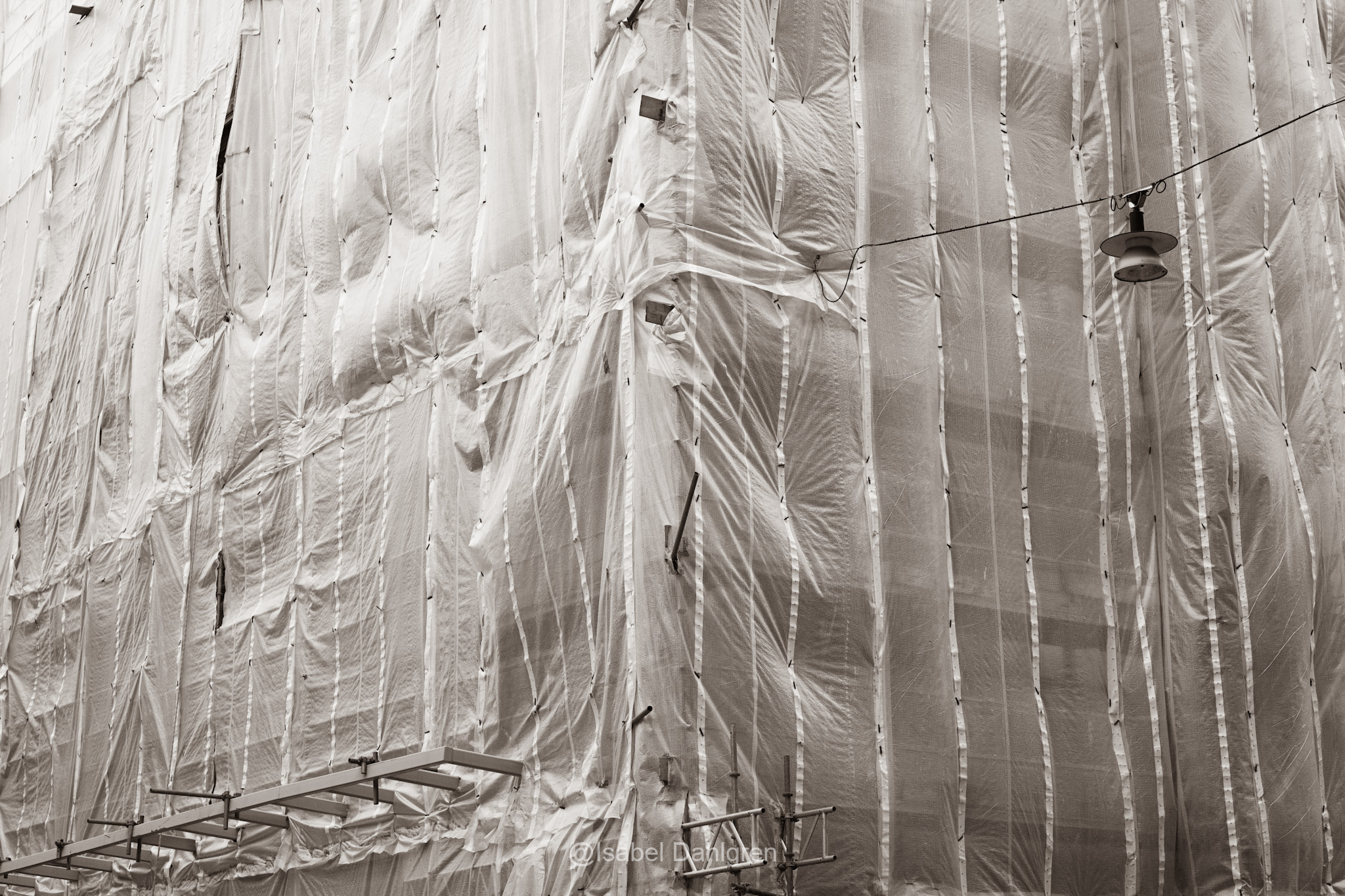 DSC_6733_Original 2.jpg